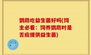 鹦鹉吃益生菌好吗(饲主必看：饲养鹦鹉时是否应提供益生菌)
