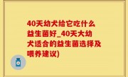 40天幼犬给它吃什么益生菌好_40天大幼犬适合的益生菌选择及喂养建议)