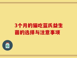 3个月的猫吃蓝氏益生菌的选择与注意事项