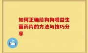 如何正确给狗狗喂益生菌药片的方法与技巧分享