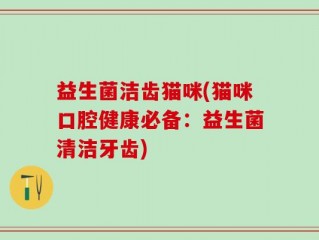 益生菌洁齿猫咪(猫咪口腔健康必备：益生菌清洁牙齿)