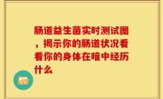 肠道益生菌实时测试图，揭示你的肠道状况看看你的身体在暗中经历什么