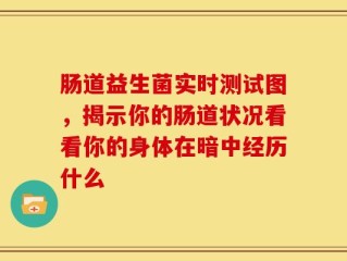 肠道益生菌实时测试图，揭示你的肠道状况看看你的身体在暗中经历什么