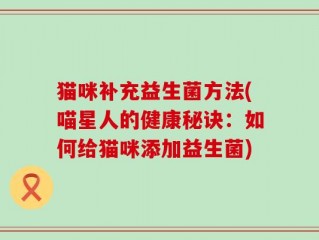 猫咪补充益生菌方法(喵星人的健康秘诀：如何给猫咪添加益生菌)