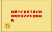 酸菜中的有益生菌对健康的神奇功效与作用解析