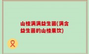 山楂满满益生菌(满含益生菌的山楂果饮)