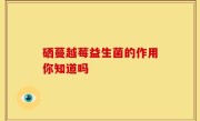 硒蔓越莓益生菌的作用你知道吗