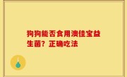 狗狗能否食用澳佳宝益生菌？正确吃法