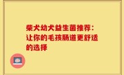 柴犬幼犬益生菌推荐：让你的毛孩肠道更舒适的选择