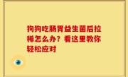 狗狗吃肠胃益生菌后拉稀怎么办？看这里教你轻松应对