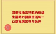 深爱牧场高钙驼奶粉益生菌助力健康生活每一口都充满营养与关怀