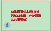 益生菌猫咪上瘾(猫咪沉迷益生菌，养护肠道从此更轻松)