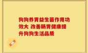 狗狗养胃益生菌作用功效大 改善肠胃健康提升狗狗生活品质
