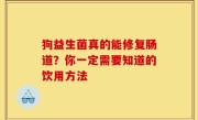 狗益生菌真的能修复肠道？你一定需要知道的饮用方法