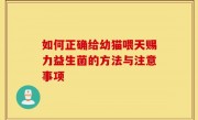 如何正确给幼猫喂天赐力益生菌的方法与注意事项