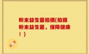 粉末益生菌拍摄(拍摄粉末益生菌，保障健康！)
