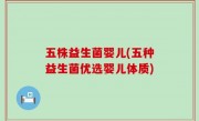 五株益生菌婴儿(五种益生菌优选婴儿体质)