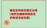 刚出生狗益生菌怎么喂(如何正确喂养刚出生的狗宝宝益生菌)