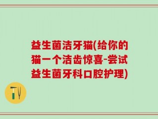 益生菌洁牙猫(给你的猫一个洁齿惊喜-尝试益生菌牙科口腔护理)