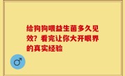 给狗狗喂益生菌多久见效？看完让你大开眼界的真实经验