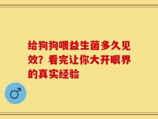 给狗狗喂益生菌多久见效？看完让你大开眼界的真实经验