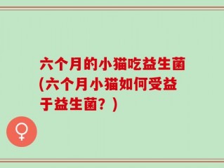 六个月的小猫吃益生菌(六个月小猫如何受益于益生菌？)