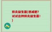 抑炎益生菌(想减肥？试试这种抑炎益生菌！)