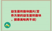 益生菌奶酪块图片(营养方便的益生菌奶酪块，健康美味两不误)