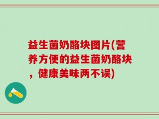 益生菌奶酪块图片(营养方便的益生菌奶酪块，健康美味两不误)