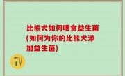 比熊犬如何喂食益生菌(如何为你的比熊犬添加益生菌)