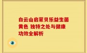 白云山启蒙贝乐益生菌黄色 独特之处与健康功效全解析
