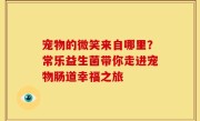 宠物的微笑来自哪里？常乐益生菌带你走进宠物肠道幸福之旅