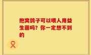 抱窝鸽子可以喂人用益生菌吗？你一定想不到的