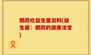 鹦鹉吃益生菌资料(益生菌：鹦鹉的健康法宝)