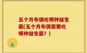 五个月布偶吃哪种益生菌(五个月布偶需要吃哪种益生菌？)