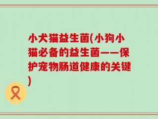 小犬猫益生菌(小狗小猫必备的益生菌——保护宠物肠道健康的关键)