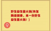 野生益生菌火锅(恢复肠道健康，来一份野生益生菌火锅！)
