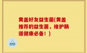 黄盖好友益生菌(黄盖推荐的益生菌，维护肠道健康必备！)