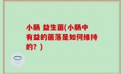 小肠 益生菌(小肠中有益的菌落是如何维持的？)
