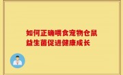 如何正确喂食宠物仓鼠益生菌促进健康成长