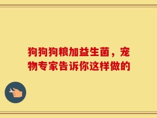 狗狗狗粮加益生菌，宠物专家告诉你这样做的