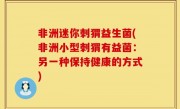非洲迷你刺猬益生菌(非洲小型刺猬有益菌：另一种保持健康的方式)