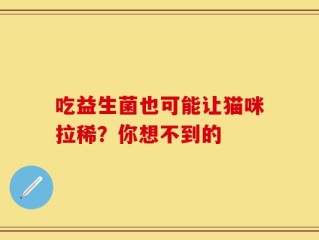 吃益生菌也可能让猫咪拉稀？你想不到的