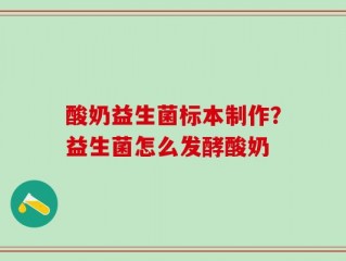 酸奶益生菌标本制作？益生菌怎么发酵酸奶