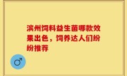 滨州饲料益生菌哪款效果出色，饲养达人们纷纷推荐
