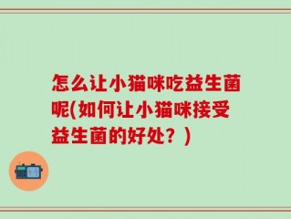 怎么让小猫咪吃益生菌呢(如何让小猫咪接受益生菌的好处？)