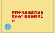 狗狗中毒后能否靠益生菌自救？看看兽医怎么说