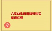 六星益生菌增肌粉购买渠道在哪