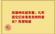 给猫咪吃益生菌，几天后它们会发生怎样的变化？你想知道