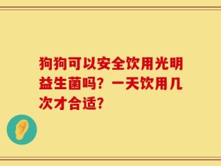 狗狗可以安全饮用光明益生菌吗？一天饮用几次才合适？
